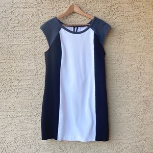 Kensie | Black & White Shift Dress